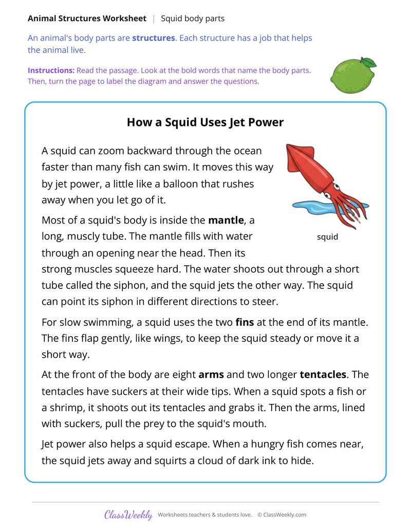 How a Squid Uses Jet Power, Read and Label - Page 1
