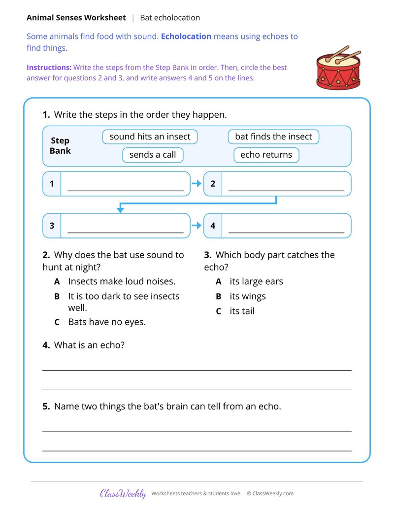 How Bats Use Echolocation, Read and Answer - Page 2