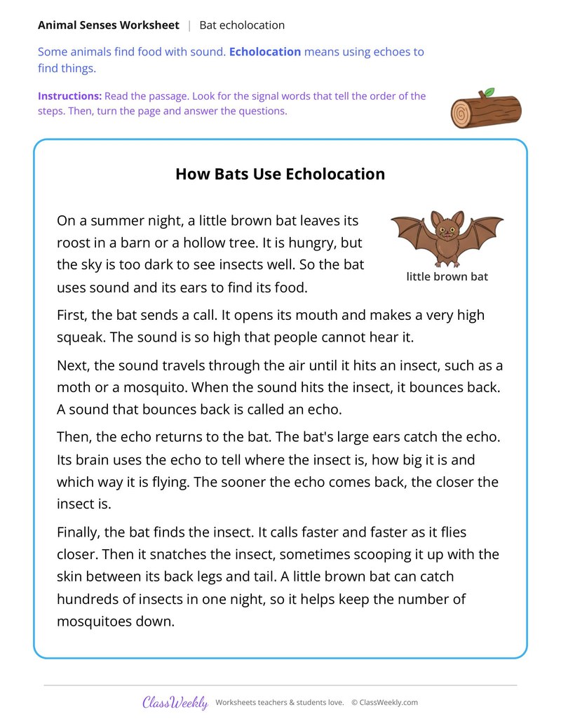 How Bats Use Echolocation, Read and Answer - Page 1
