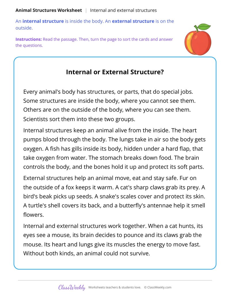 Internal or External Structure? Read and Sort - Page 1