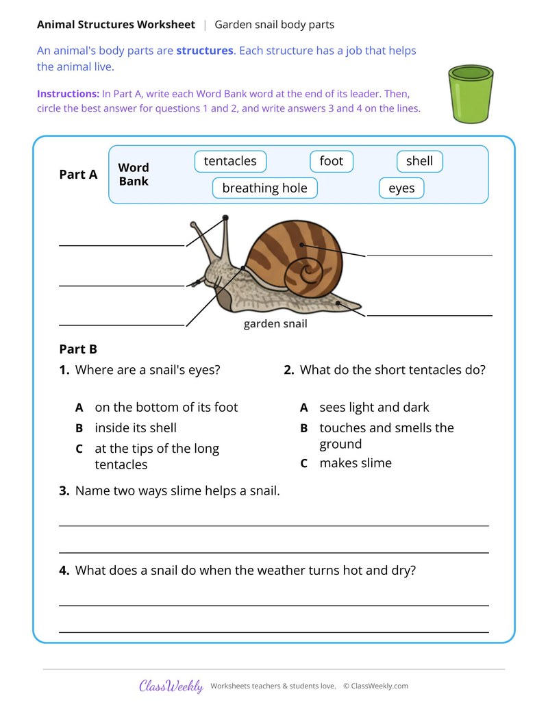 Parts of a Garden Snail, Read and Label - Page 2