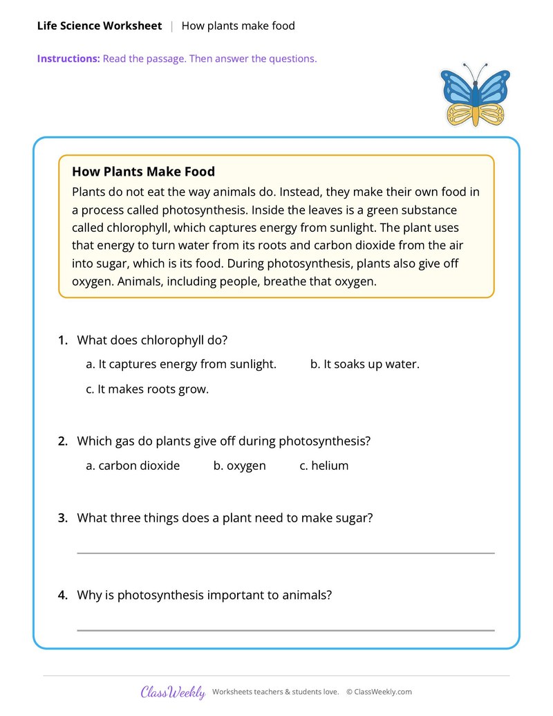 Life Science: How plants make food