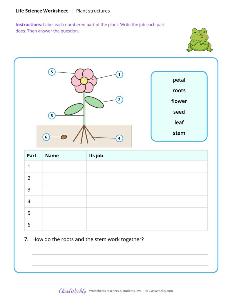 Life Science: Plant structures