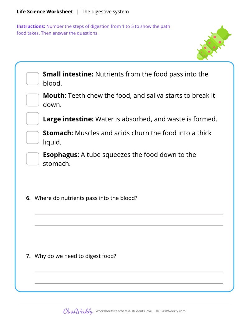 Life Science: The digestive system