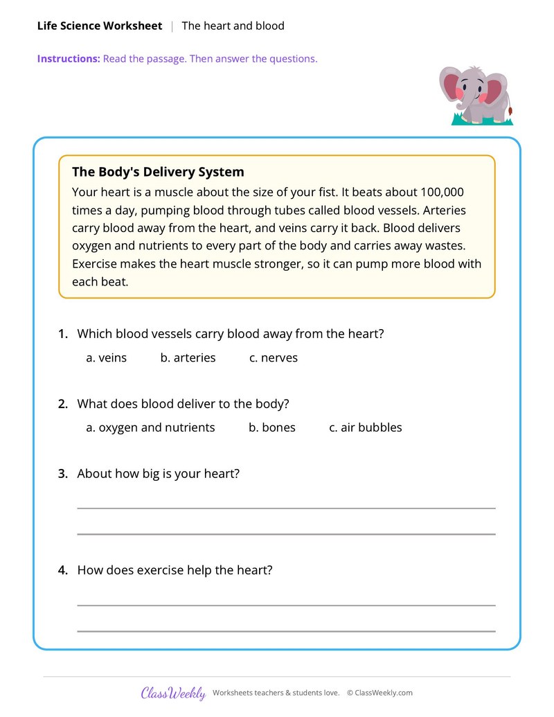 Life Science: The heart and blood