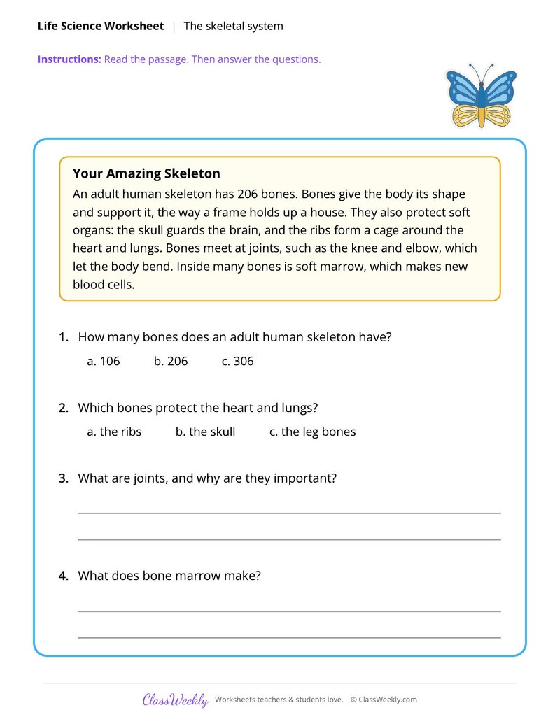 Life Science: The skeletal system