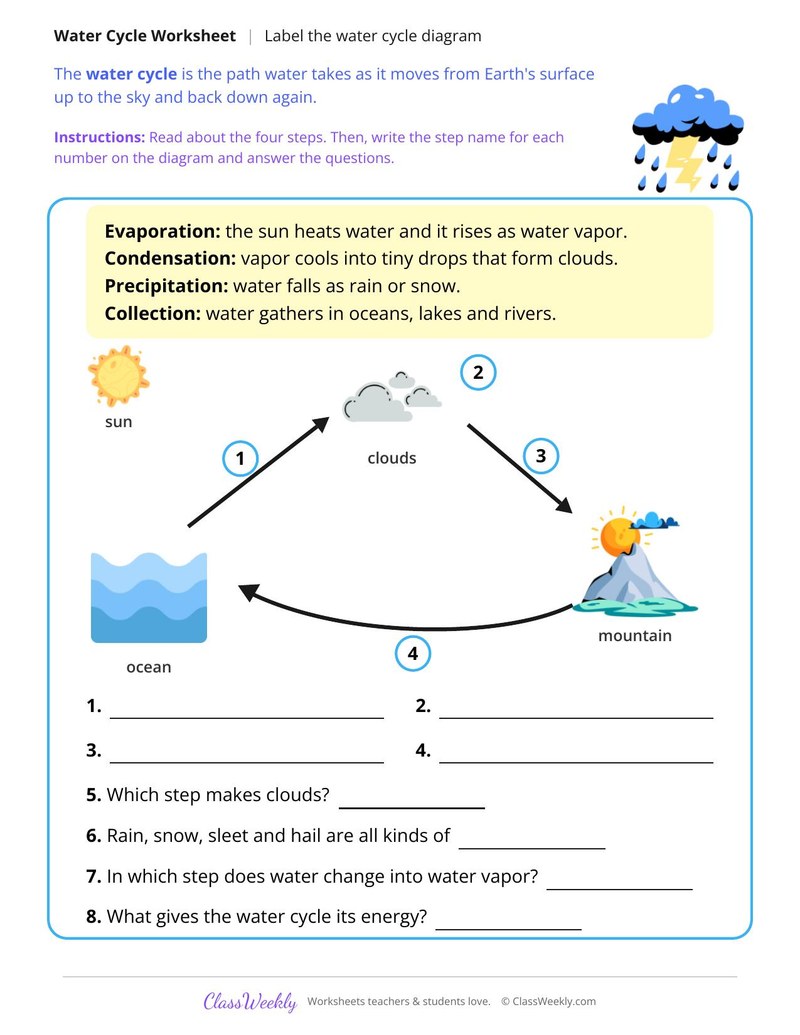 Label the Water Cycle Diagram