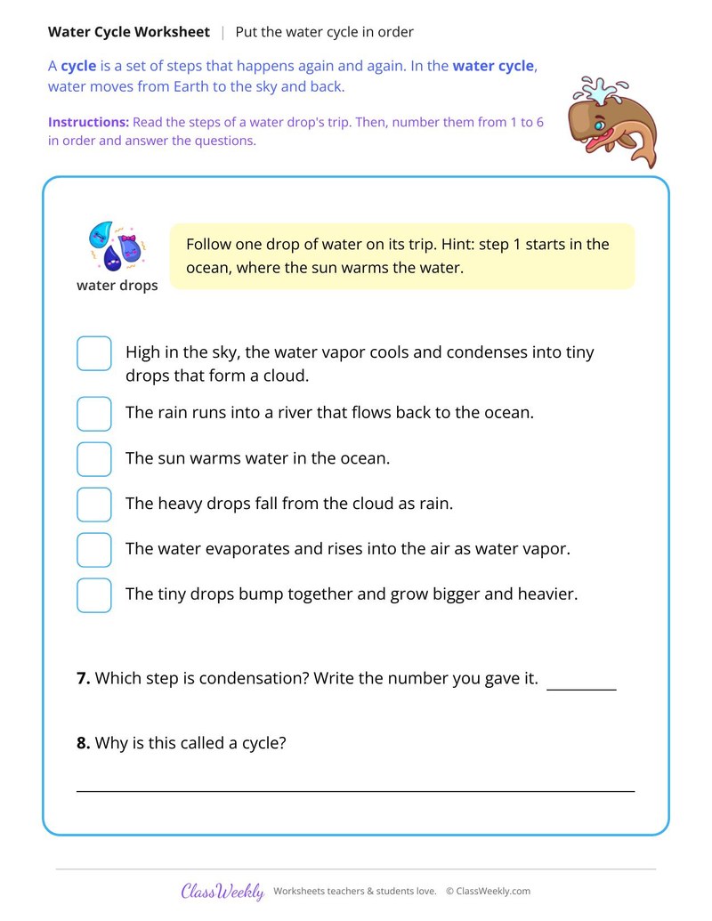 Put the Water Cycle in Order