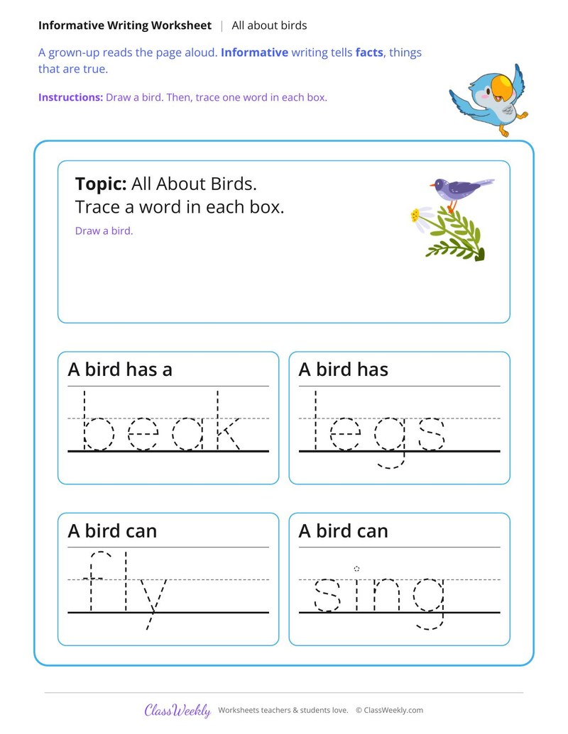 All About Birds Informative Writing