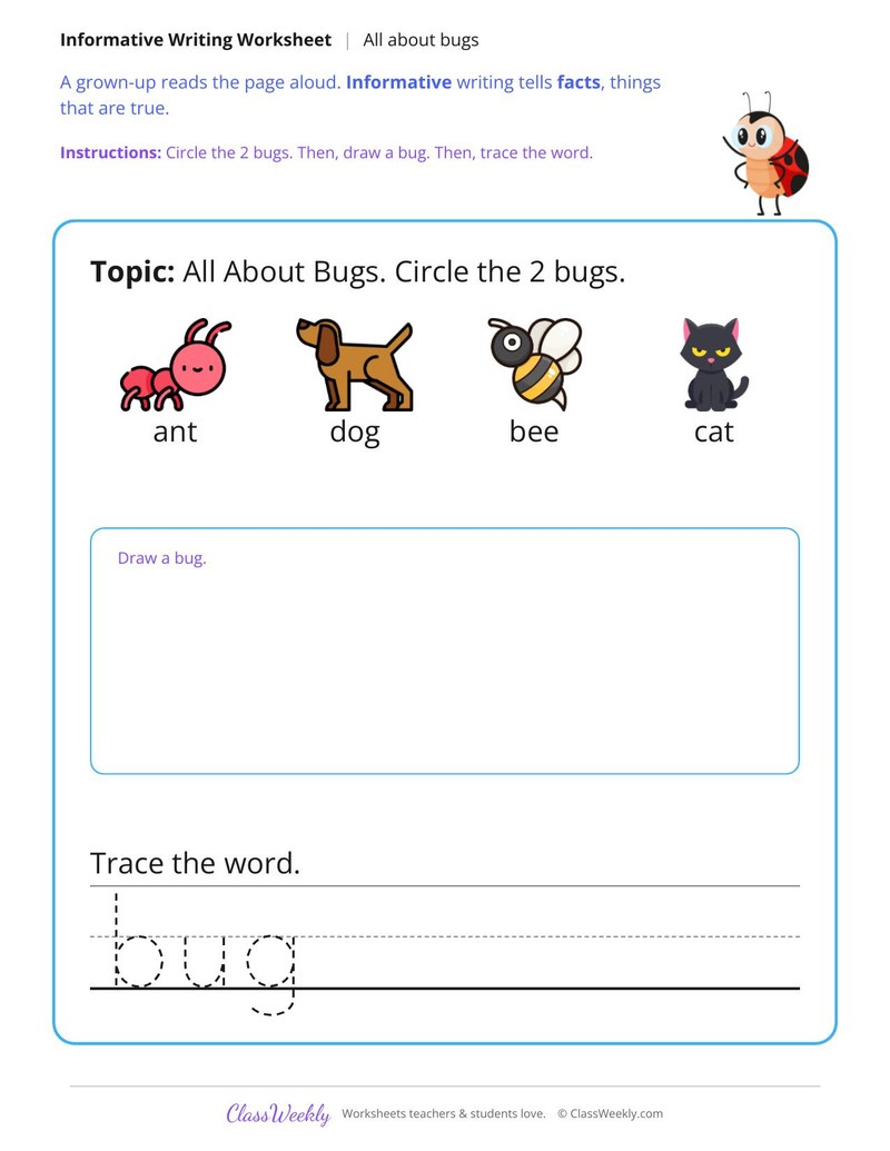All About Bugs Informative Writing