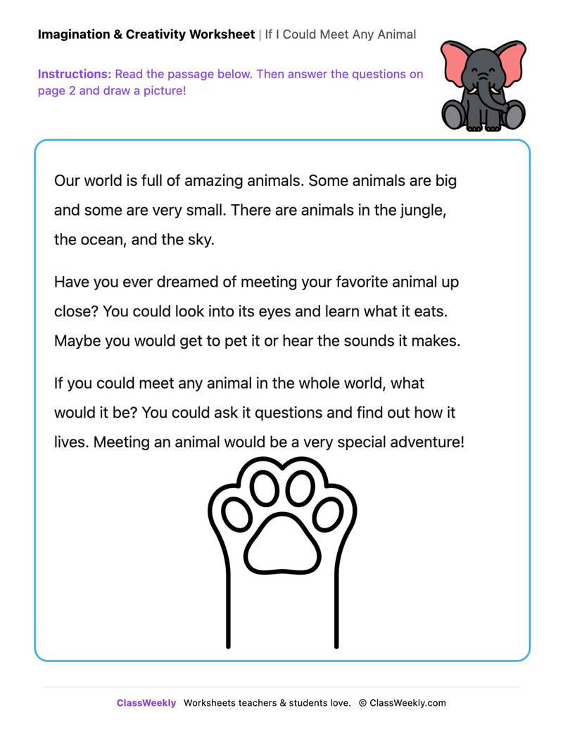 If I Could Meet Any Animal - Draw & Write Worksheet