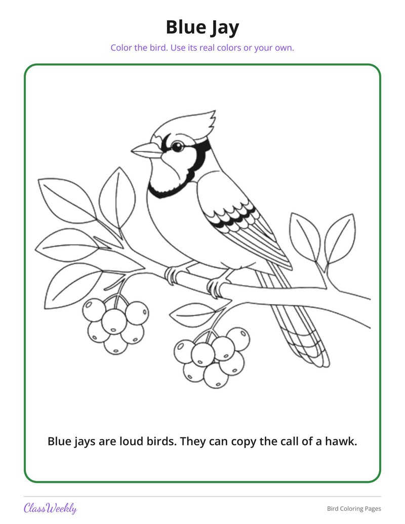 Bird Coloring Pages - Page 2