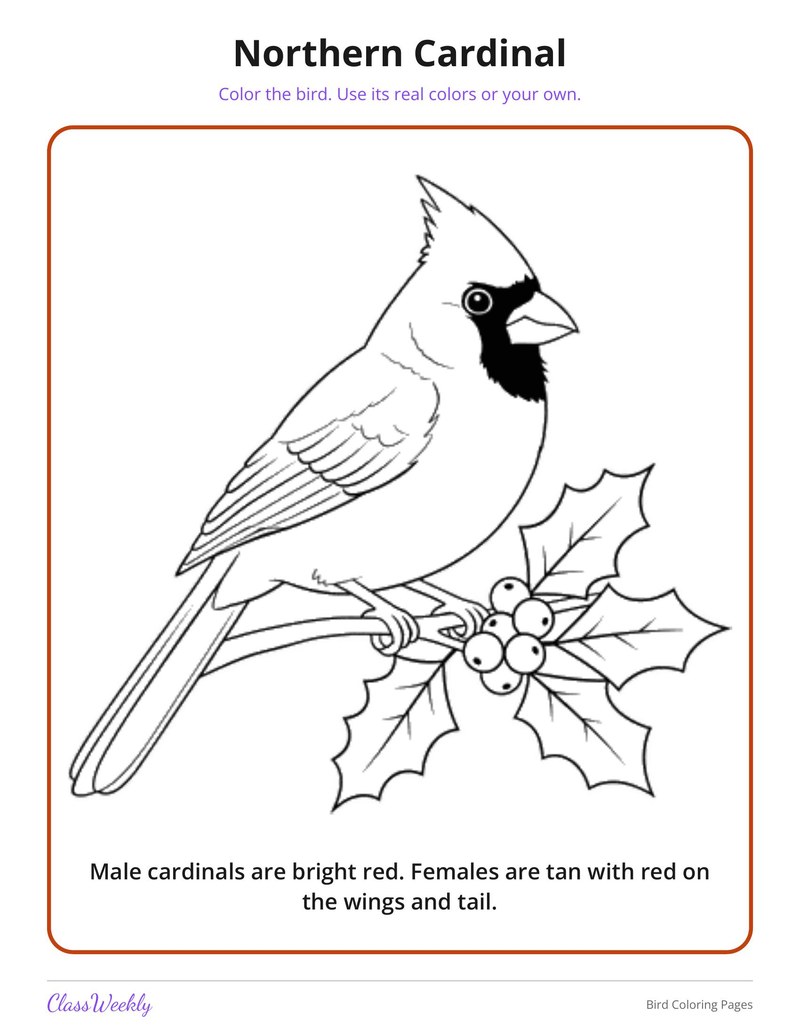 Bird Coloring Pages - Page 3