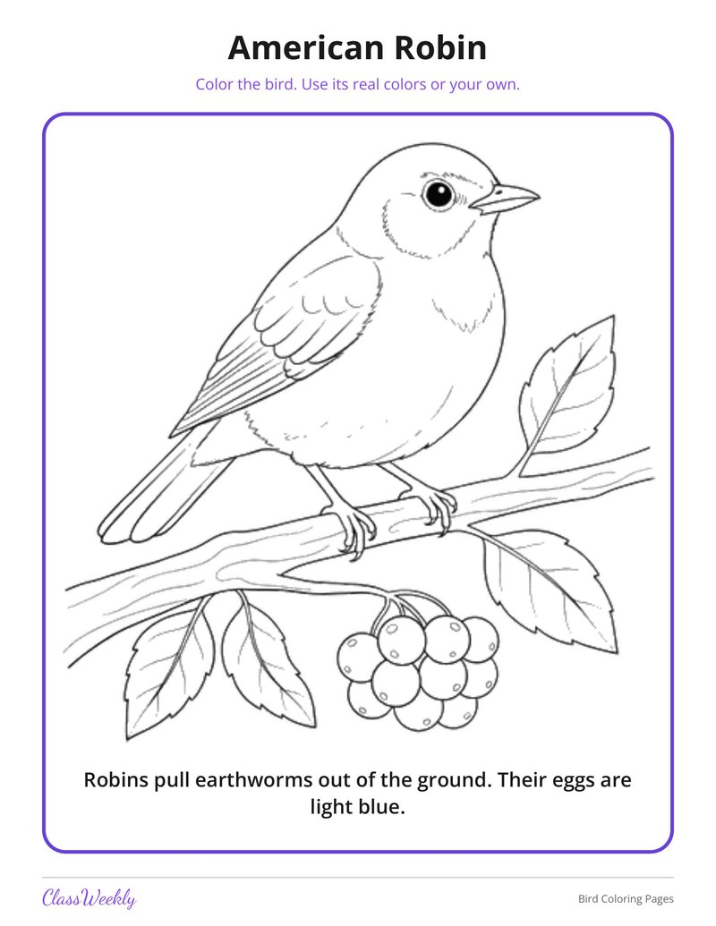 Bird Coloring Pages - Page 4