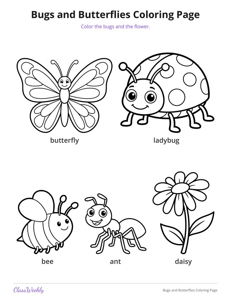 Bugs and Butterflies Coloring Page