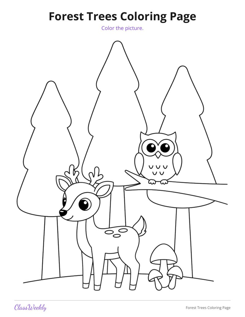 Forest Trees Coloring Page