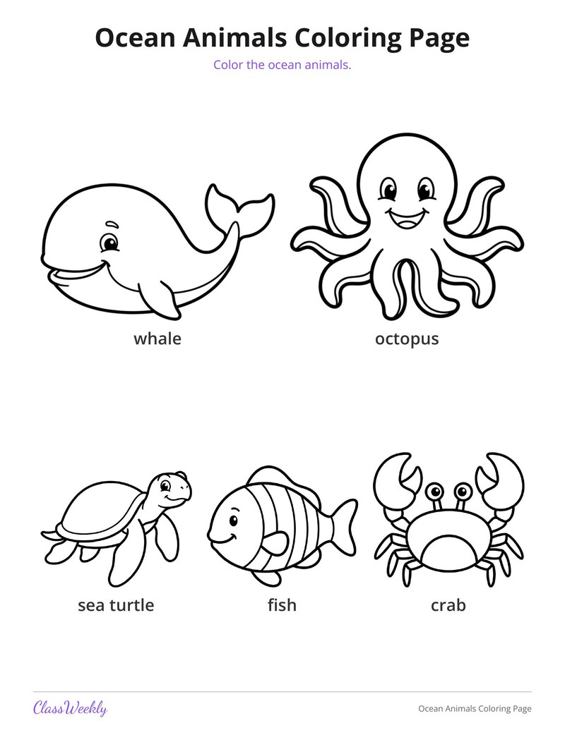 Ocean Animals Coloring Page