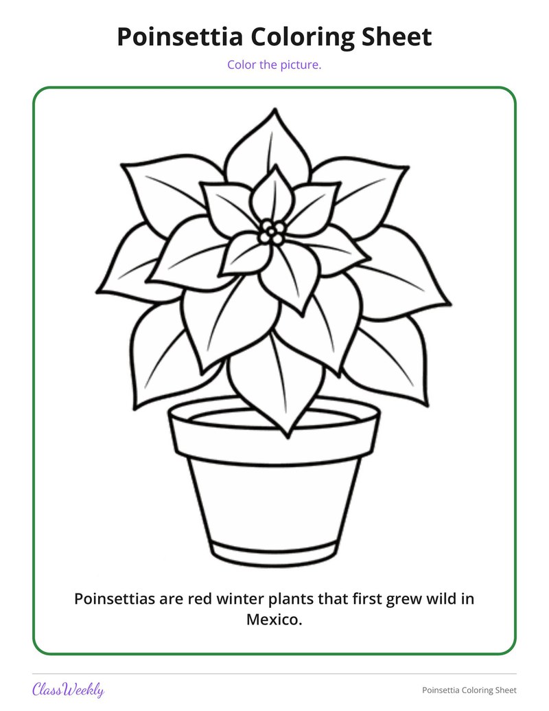 Poinsettia Coloring Sheet