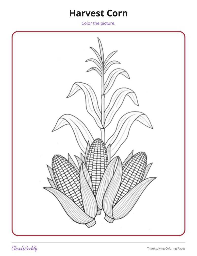 Thanksgiving Coloring Pages: Turkeys, Corn and Family Feast - Page 4