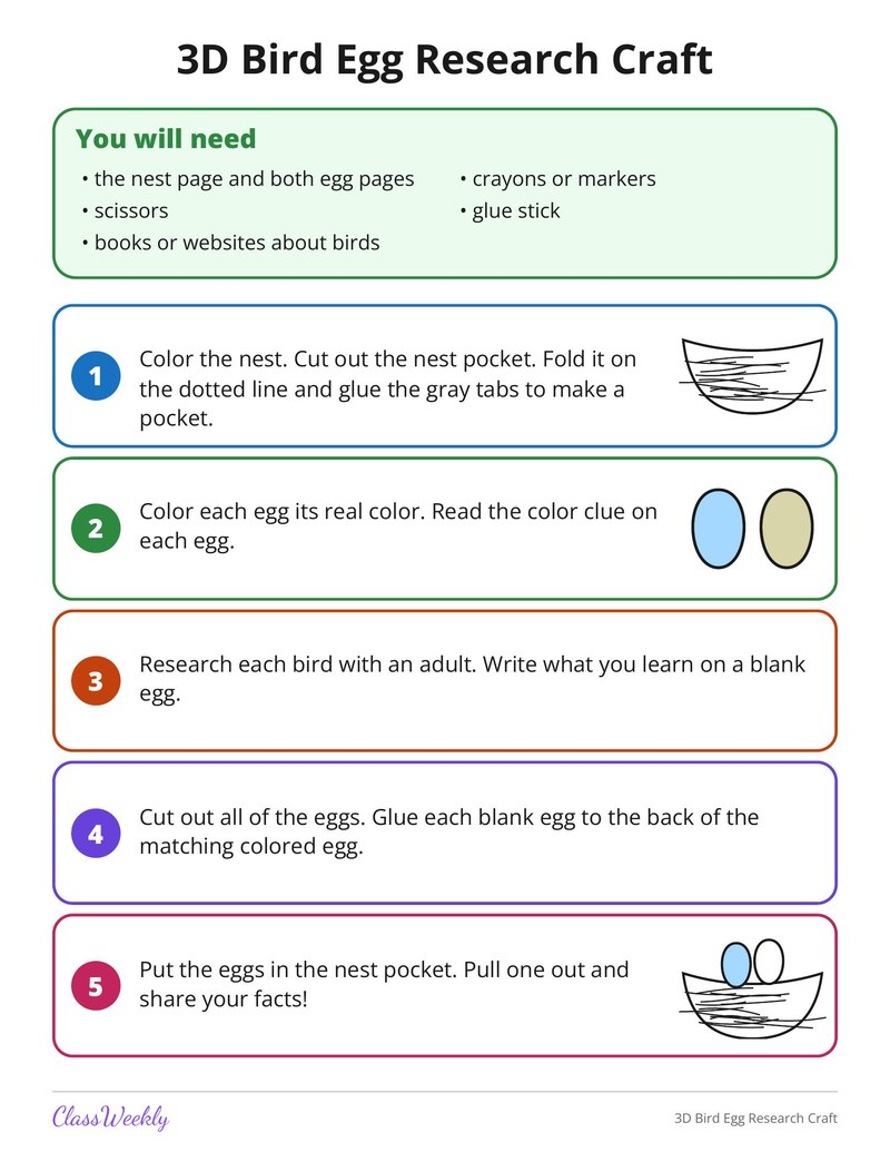 3D Bird Egg Research Craft - Page 2
