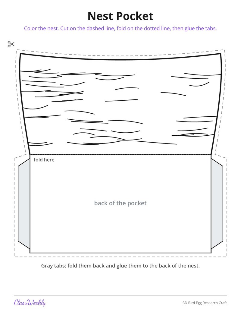 3D Bird Egg Research Craft - Page 3