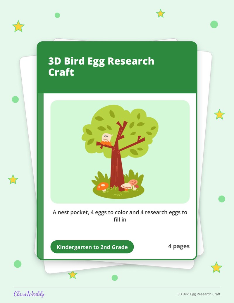 3D Bird Egg Research Craft - Page 1