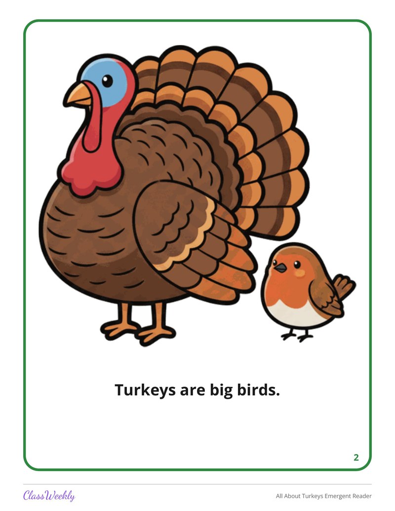 All About Turkeys Emergent Reader - Page 3