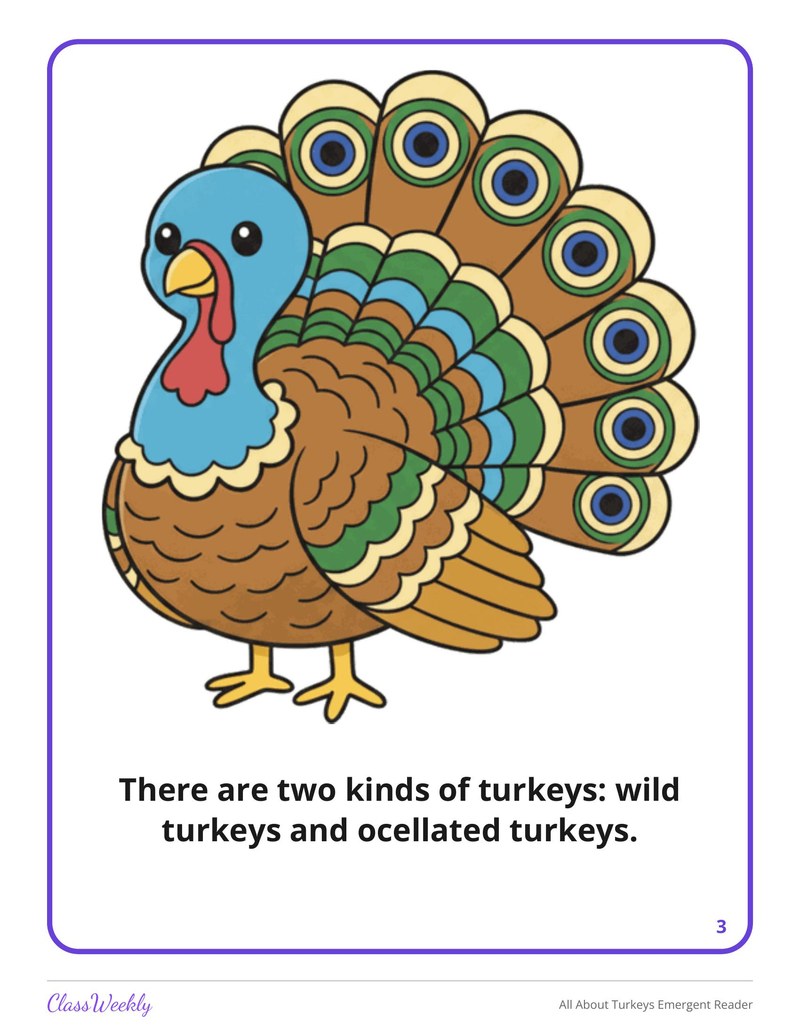 All About Turkeys Emergent Reader - Page 4