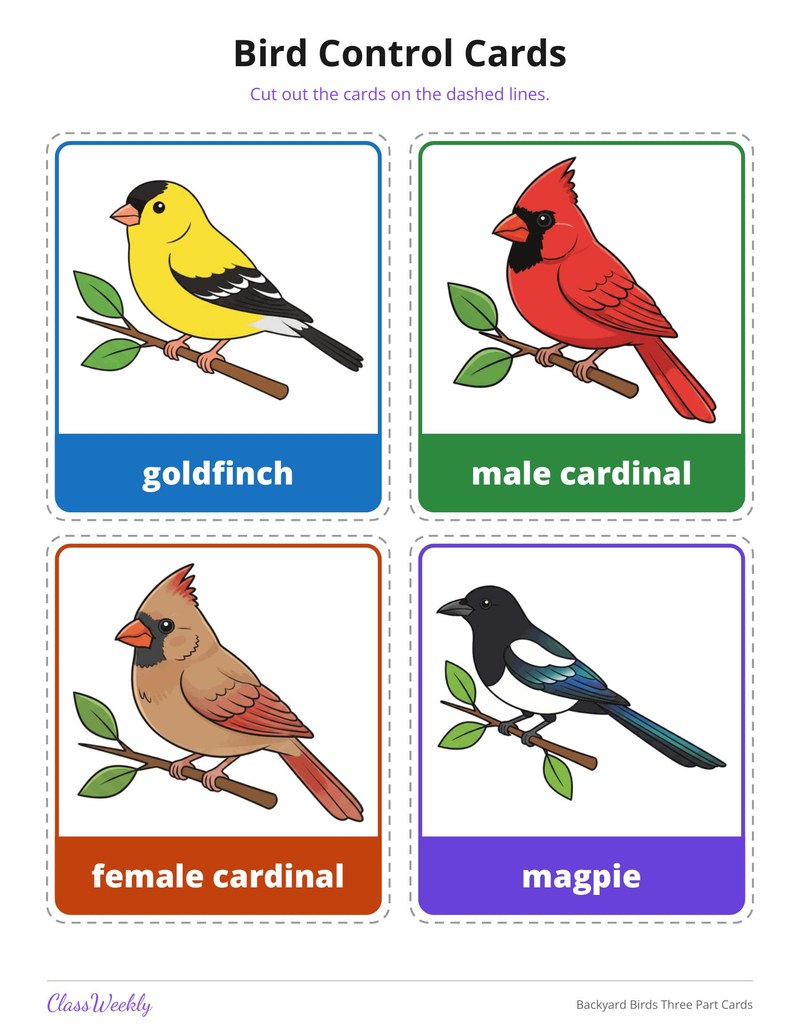 Backyard Birds Three Part Cards - Page 2