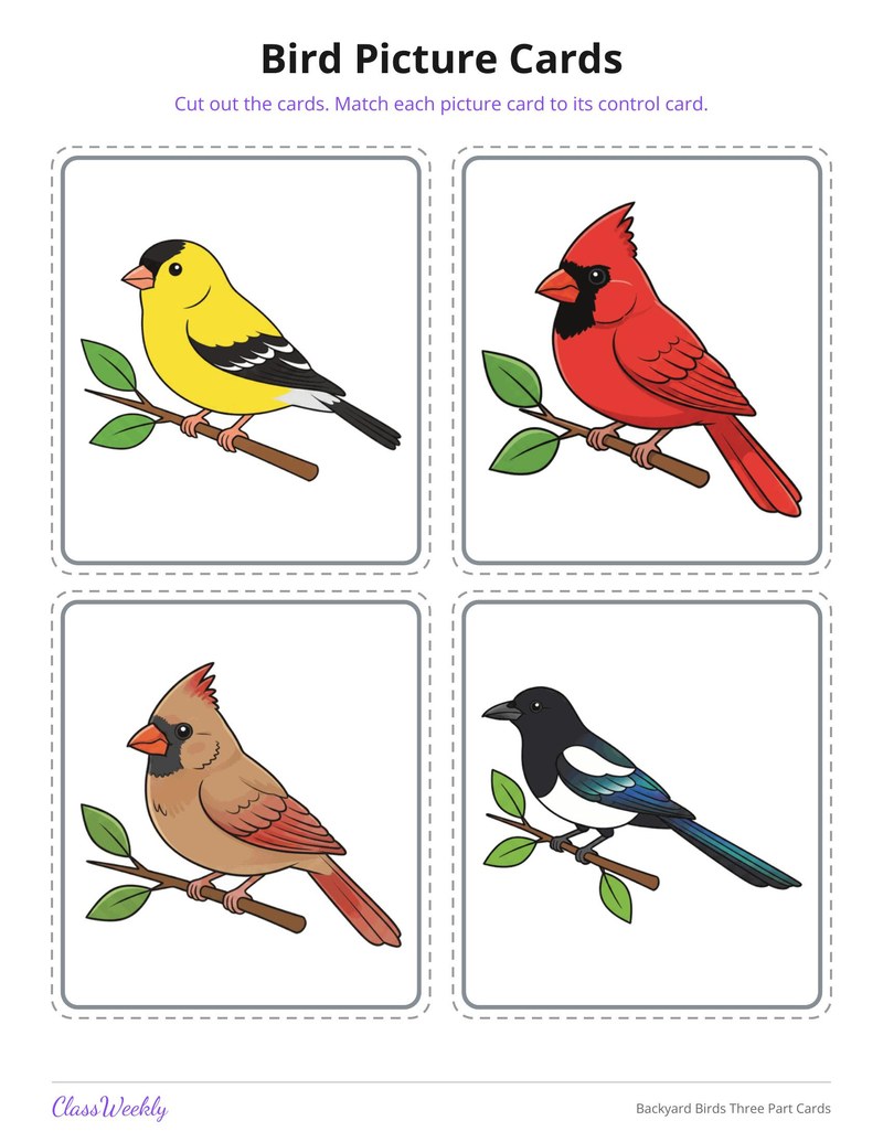 Backyard Birds Three Part Cards - Page 4