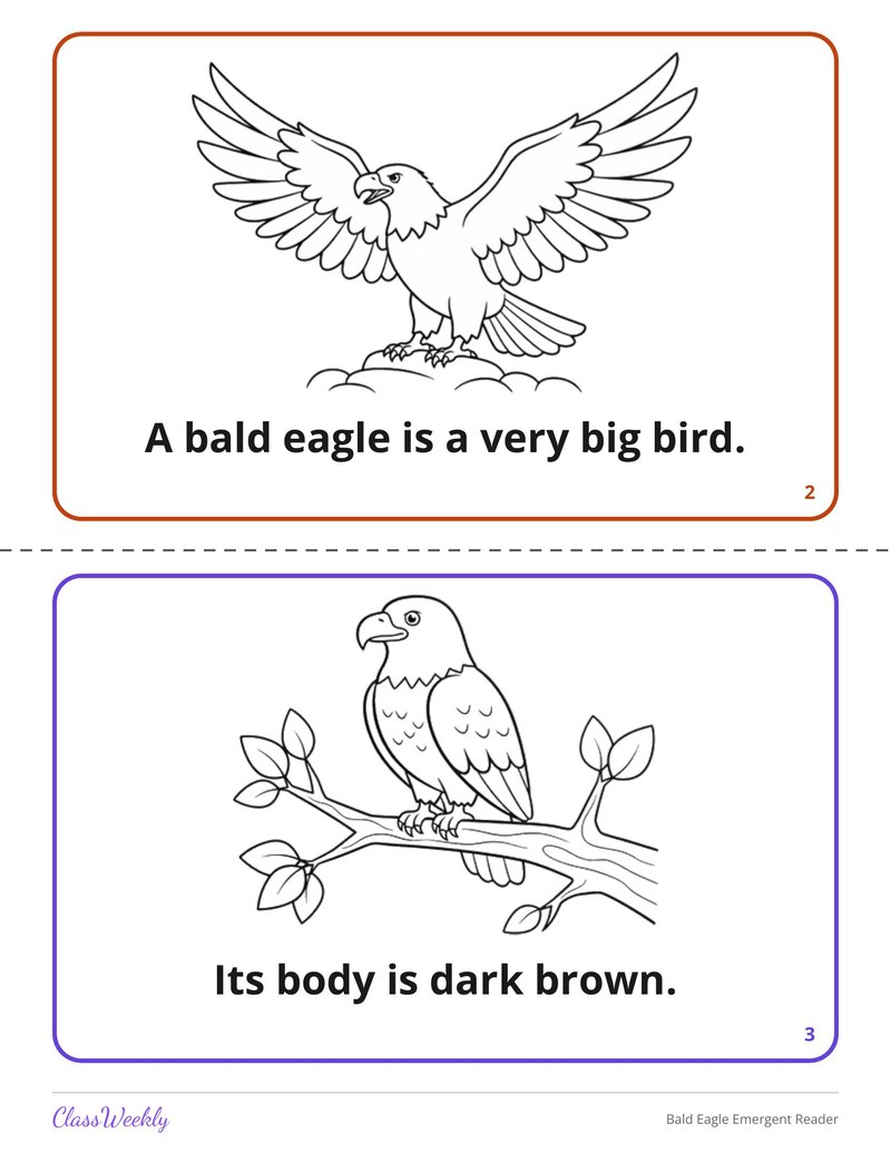 Bald Eagle Emergent Reader - Page 3