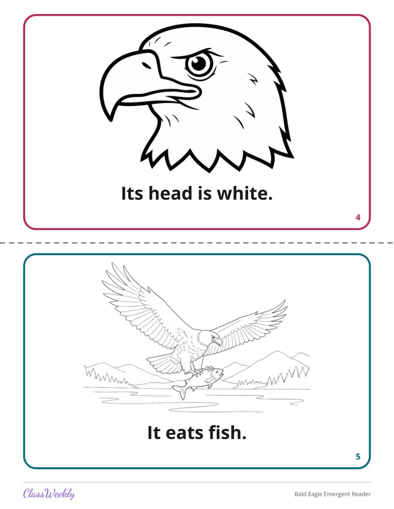 Bald Eagle Emergent Reader - Page 4