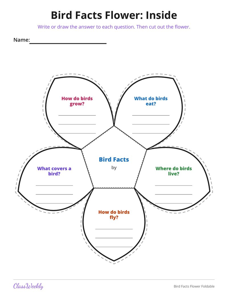 Bird Facts Flower Foldable - Page 2