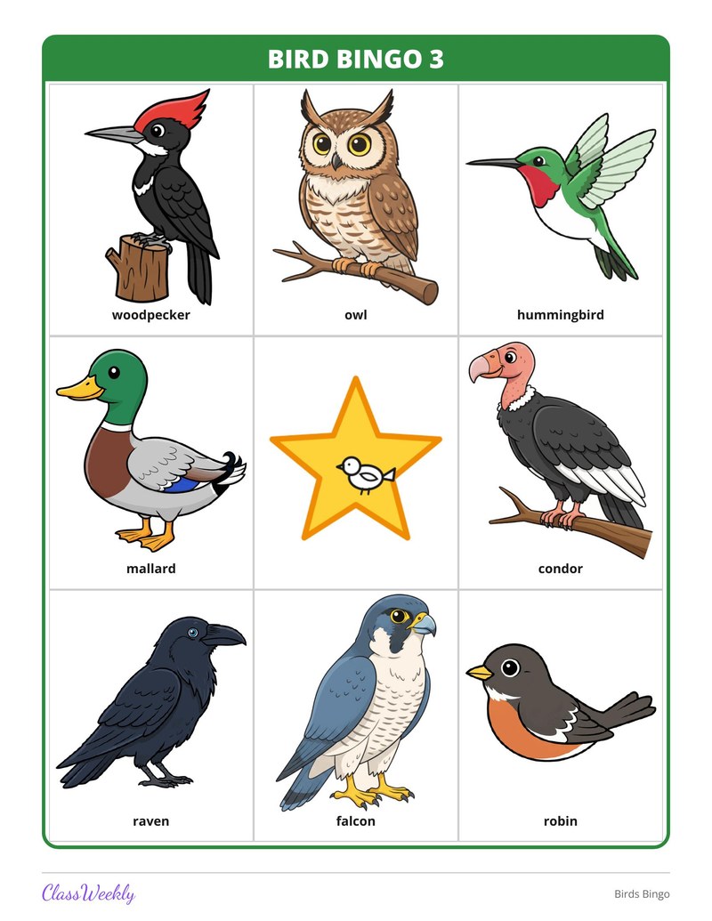 Birds Bingo - Page 4
