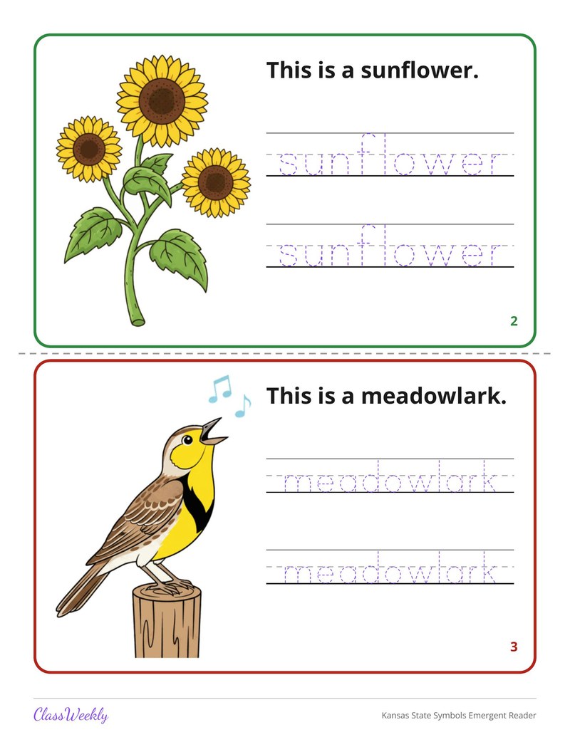 Kansas State Symbols Emergent Reader - Page 3