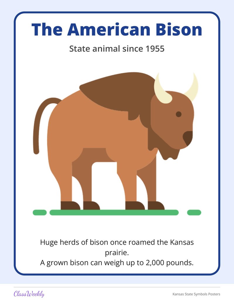 Kansas State Symbols Posters - Page 4