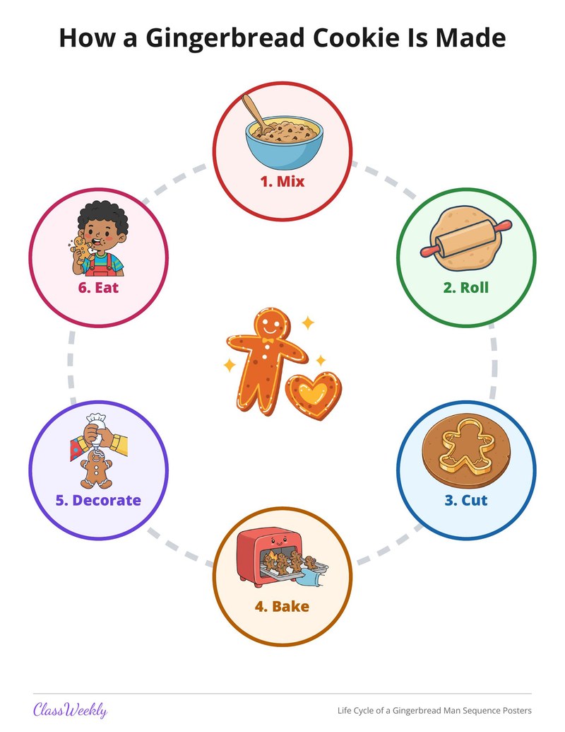 Life Cycle of a Gingerbread Man Sequence Posters - Page 2