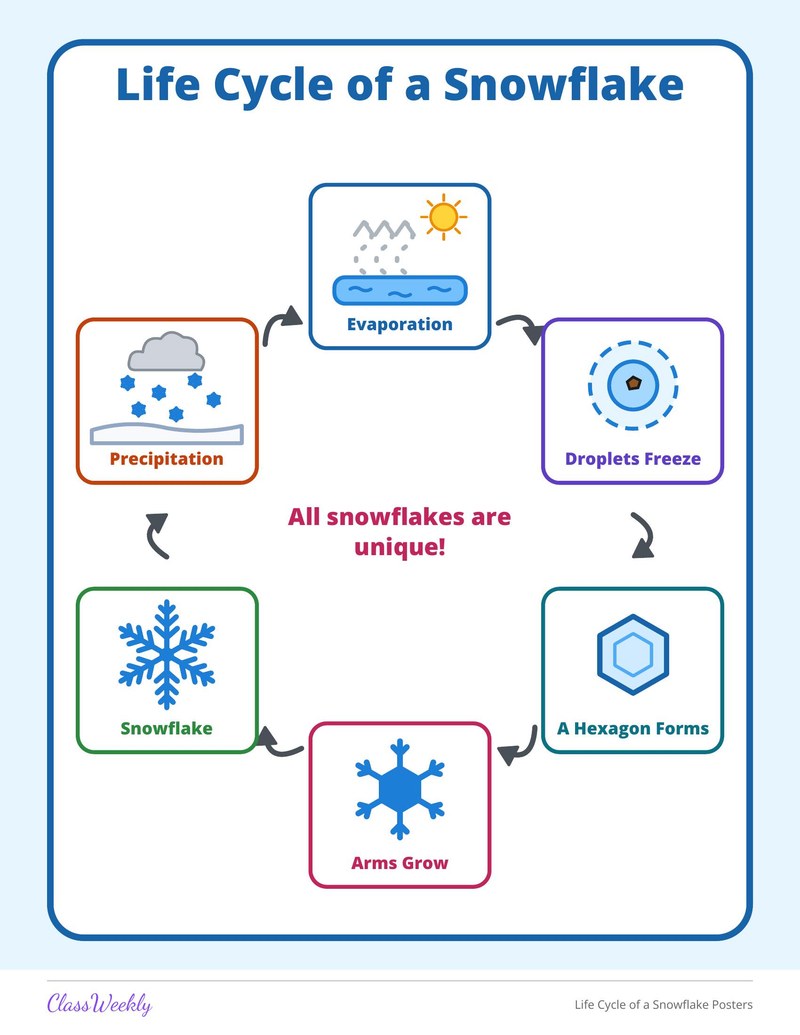 Life Cycle of a Snowflake Posters - Page 2
