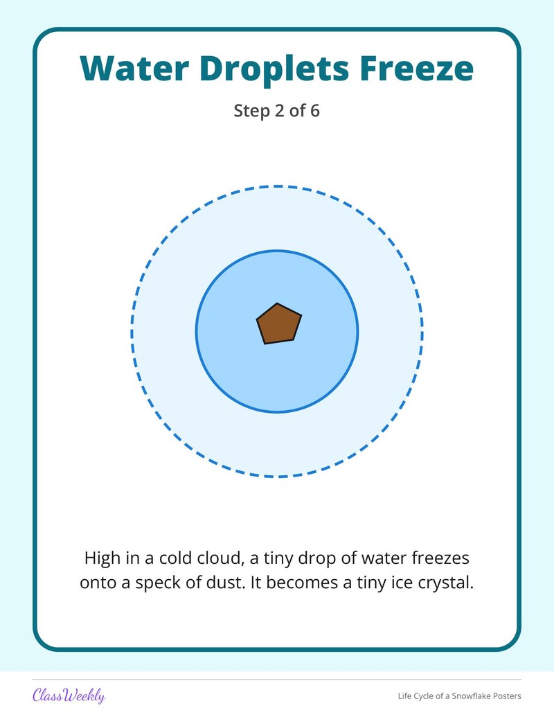 Life Cycle of a Snowflake Posters - Page 4