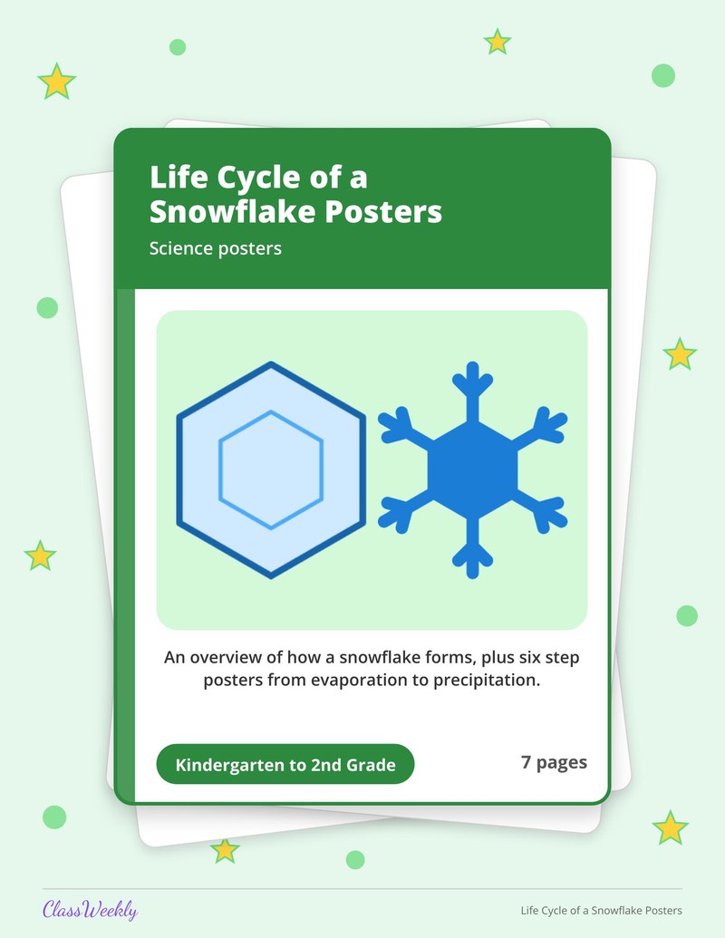 Life Cycle of a Snowflake Posters - Page 1