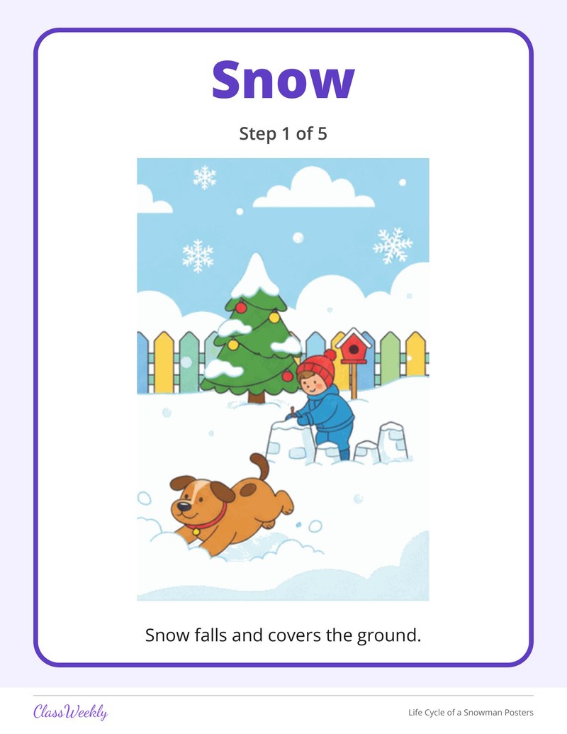 Life Cycle of a Snowman Posters - Page 3