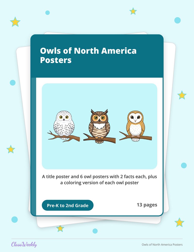 Owls of North America Posters - Page 1