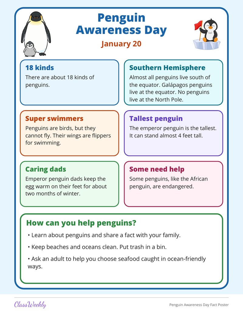 Penguin Awareness Day Fact Poster