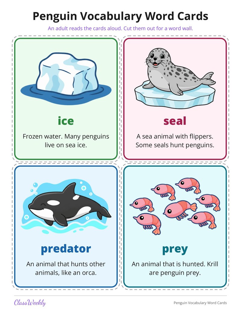 Penguin Vocabulary Word Cards - Page 3