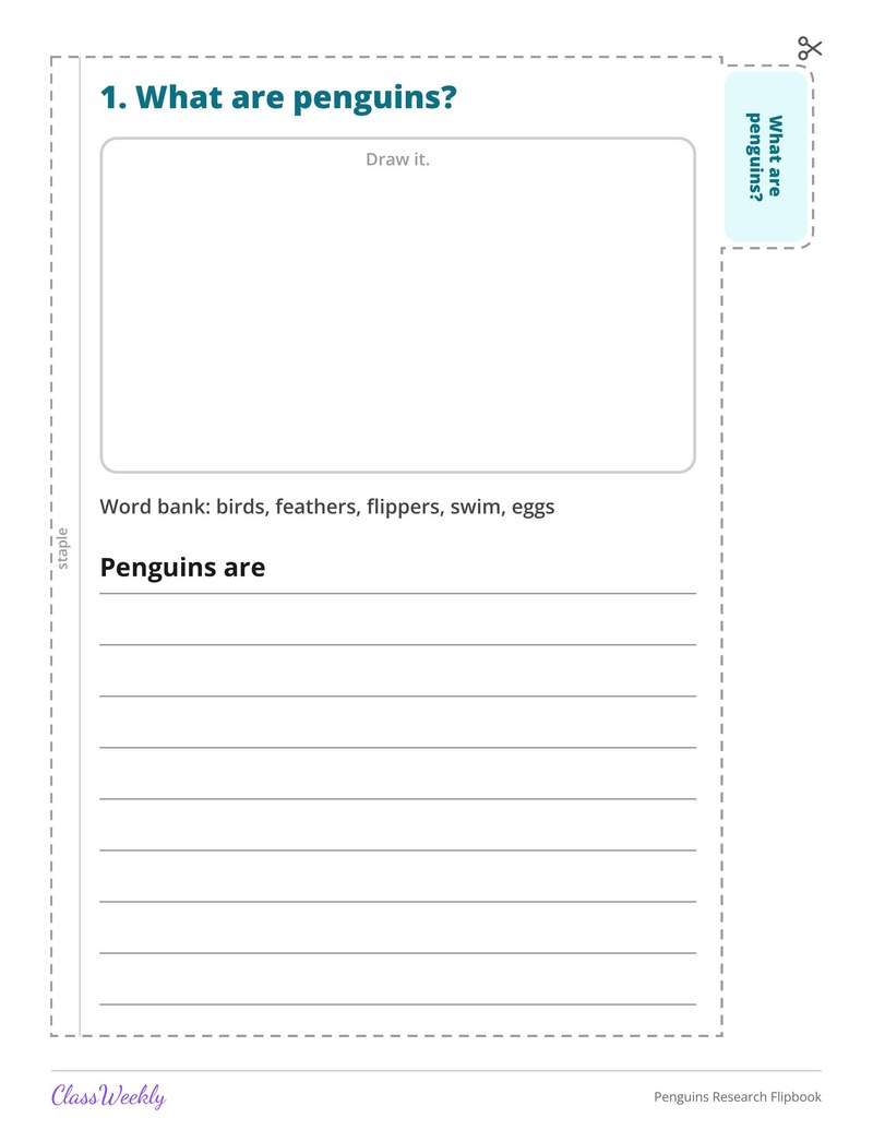 Penguins Research Flipbook - Page 3