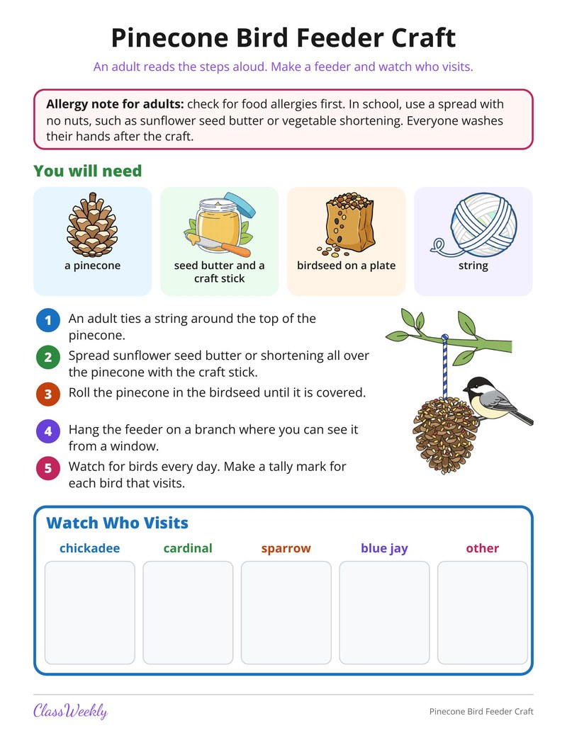 Pinecone Bird Feeder Craft