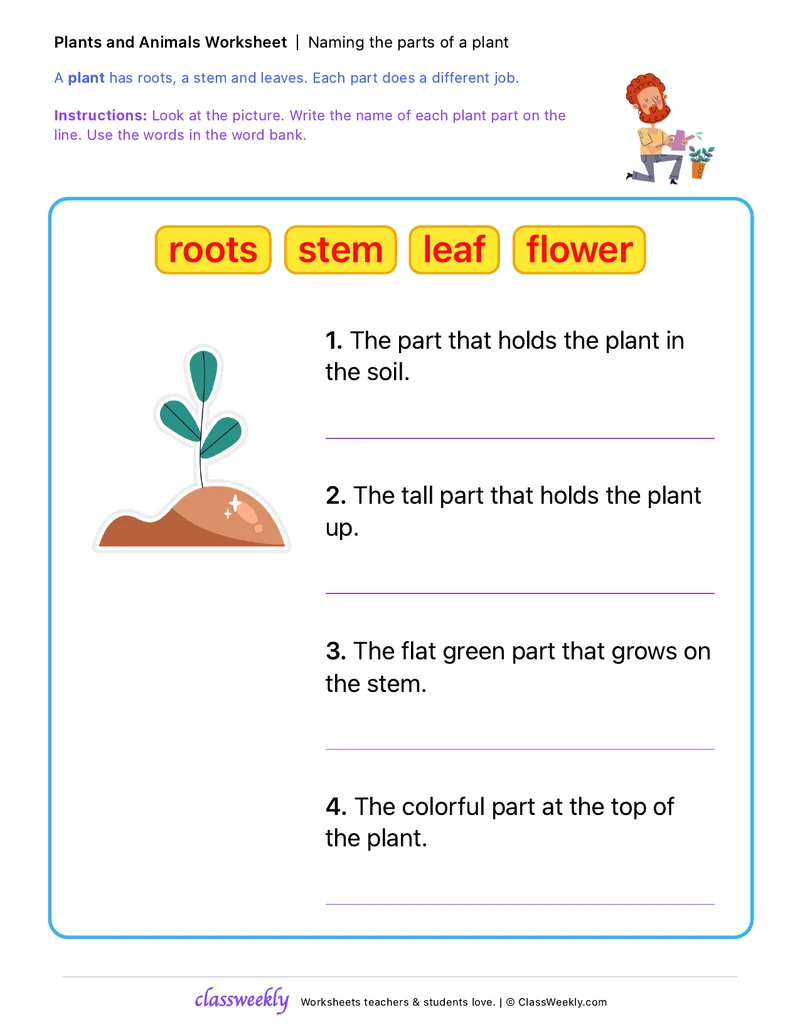 Naming the Parts of a Plant