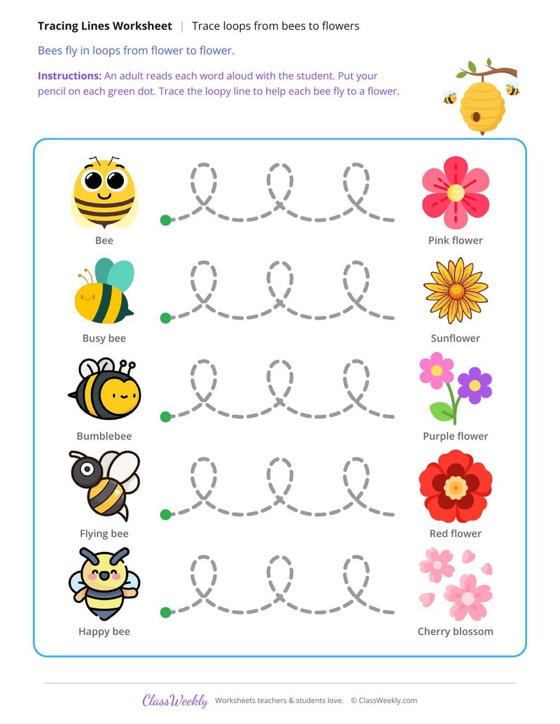 Trace the Loops, Bees Fly to Flowers