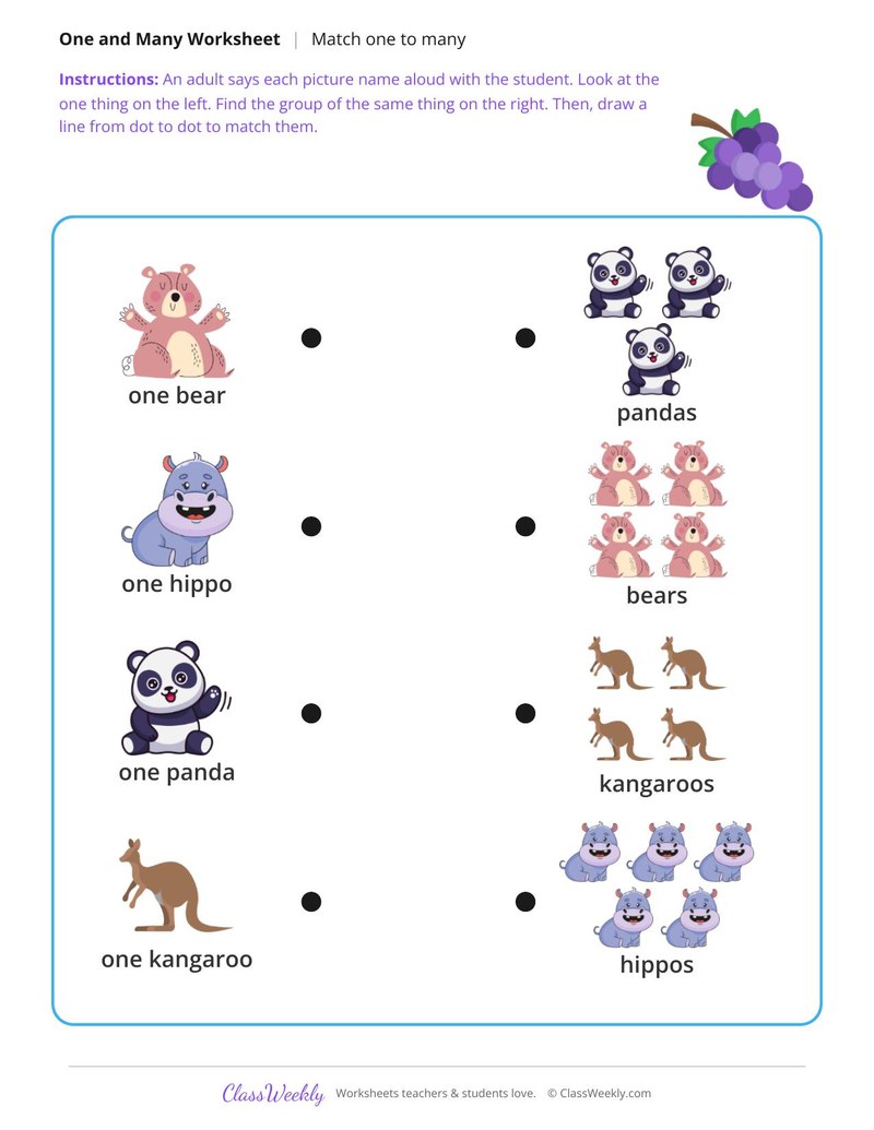 Zoo animals