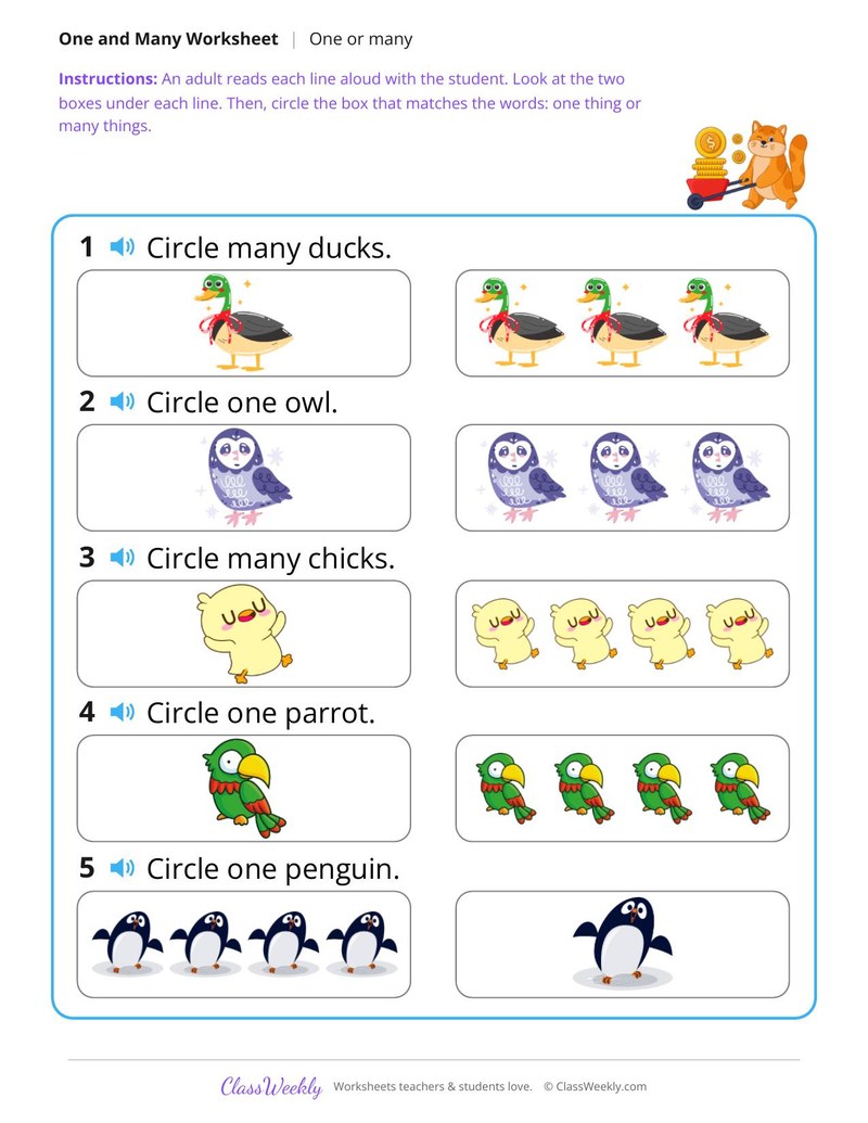 Birds